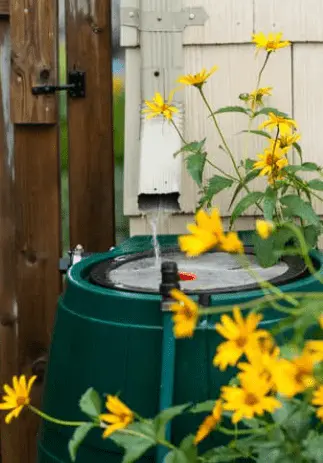 Garden Rain Barrels