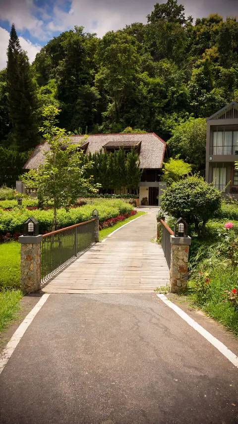 Lush Landscaping driveway