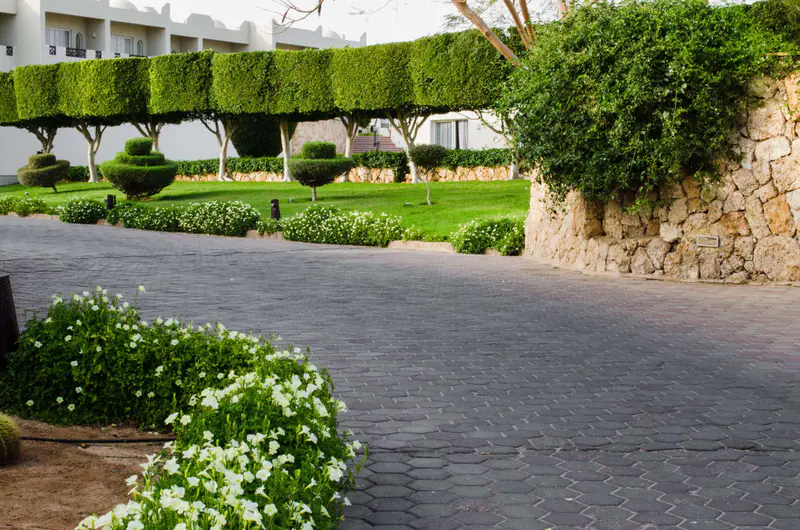 Lush Landscaping driveway