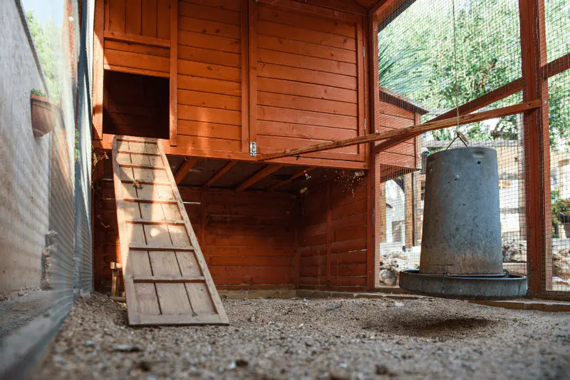 Multi-level chicken coop