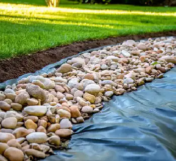 Dry Creek Bed