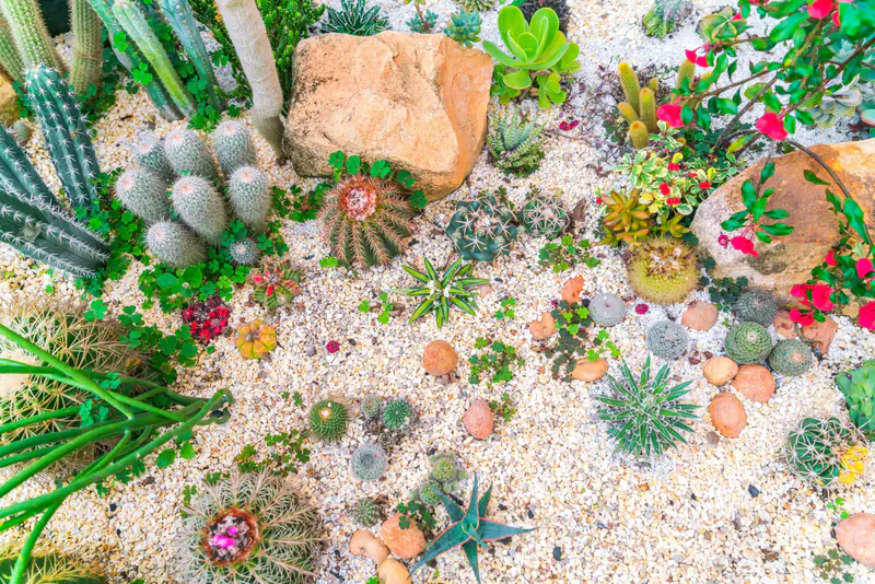 Water-Efficient Landscape Ideas