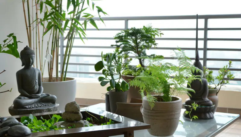 Zen retreat, balcony garden, minimalist, water feature, Buddha figure, tranquility....