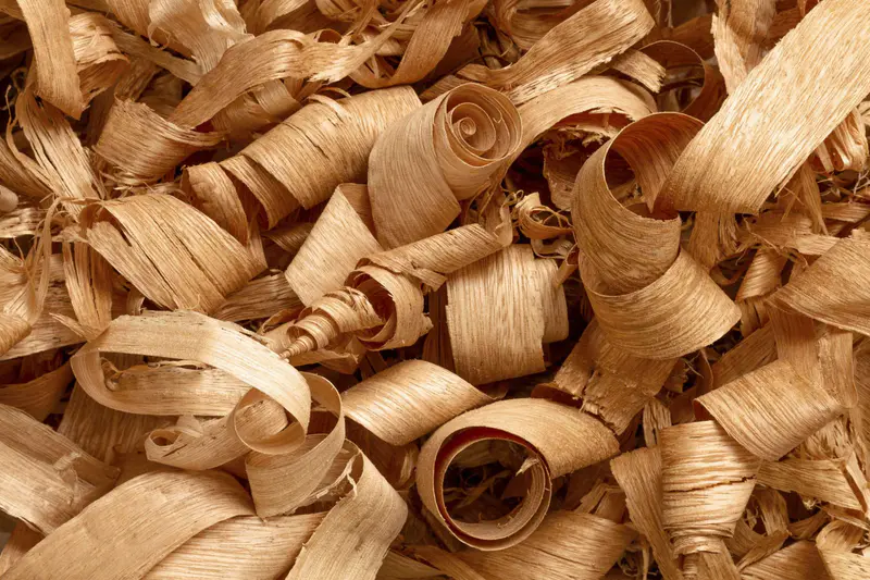 flat-lay-wood-composition