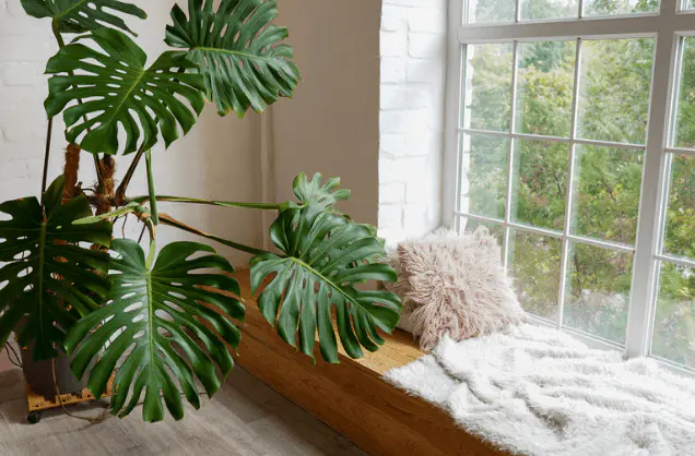 garden sunroom