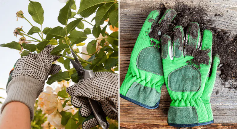 gardening gloves