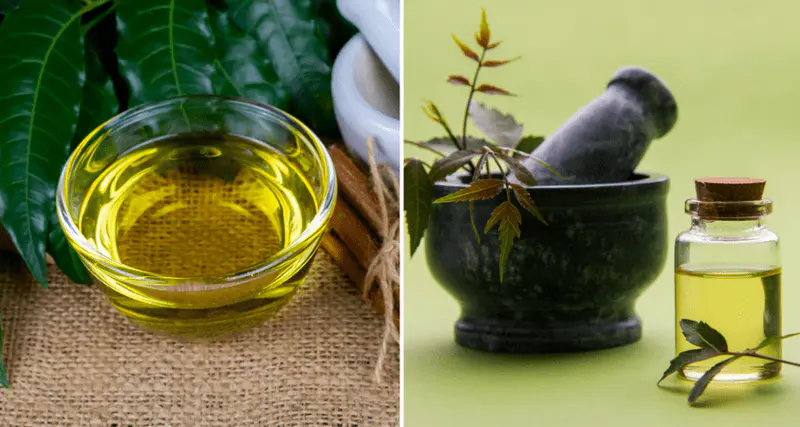 neem oil