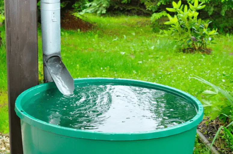 rain barrel