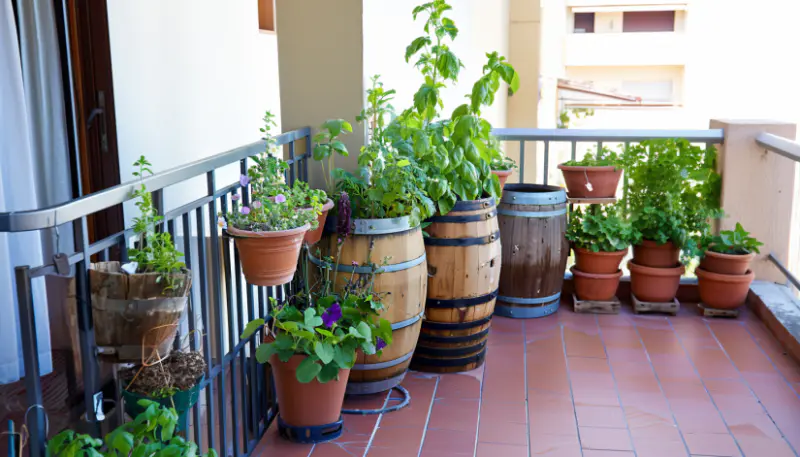 rustic balcony garden with wood baskets