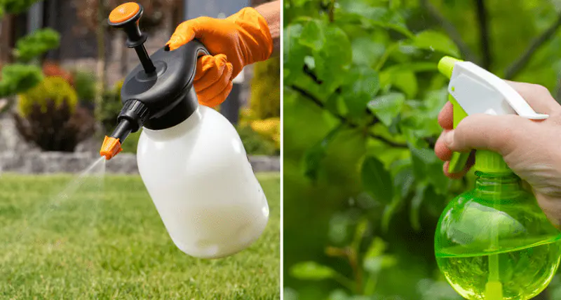 spray bottle