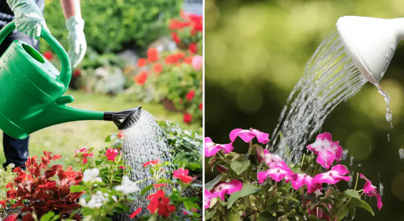watering can