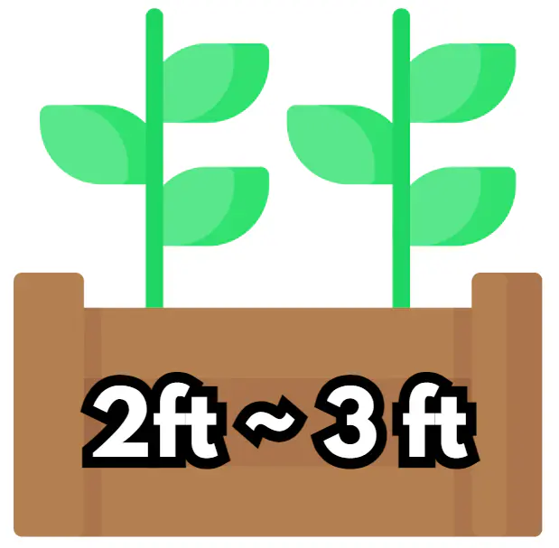 2 ft ~ 3 ft tall for bending