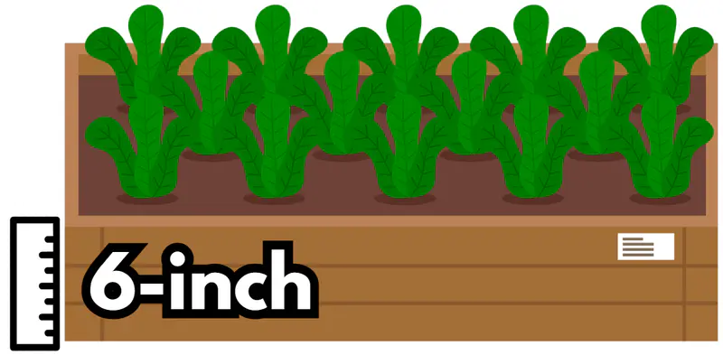 6 inch bed garden