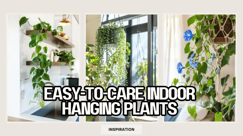 9 BEST Ideas for Indoor Hanging Plants [Types, Light, Water, Humidity, Pet Safety]