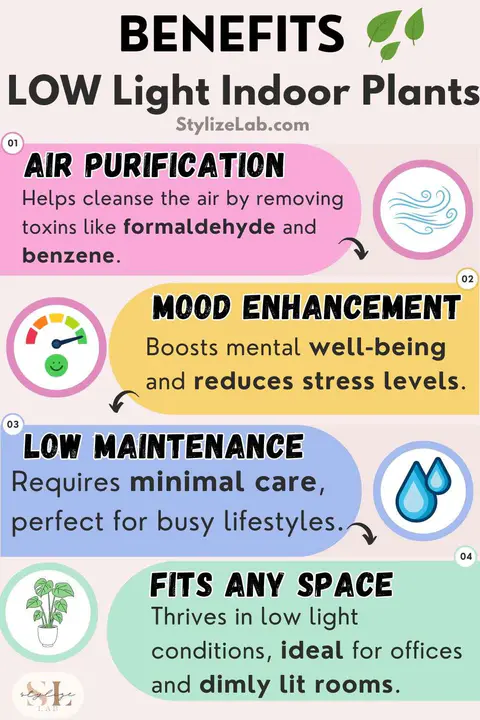 Benefits of Low Light Indoor Plants Infographic