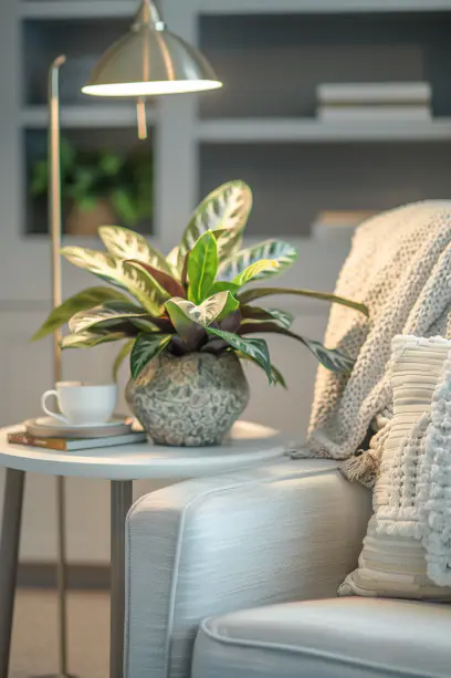 Chinese Evergreen (Aglaonema).