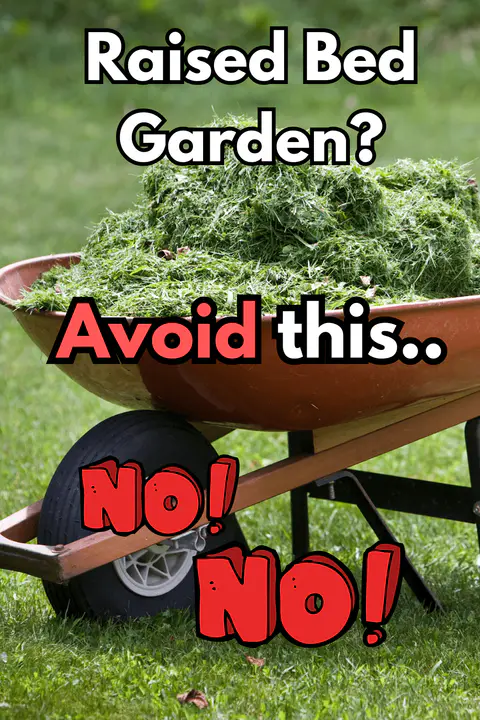 Grass clippings