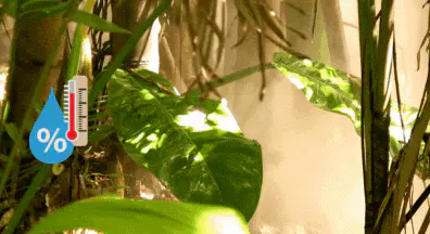 Humidity