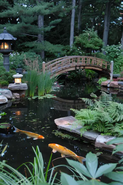 Japanese garden pond full of Koi in a Japanese garden in the backyard of a house, photography type.