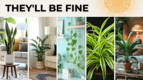 Keep ALIVE: 10 Best LOW Light Indoor Plants (Easy Care)