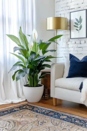 Lily in a cozy living room with modern beige sofa, navy and gold pillows, white brick wall, rustic wooden side table with golden lamp, Persian rug, and botanical artwork.