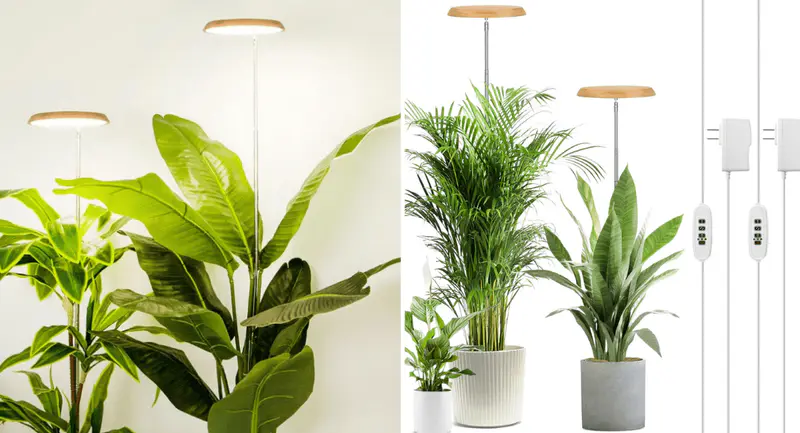 Supplemental Lighting with led