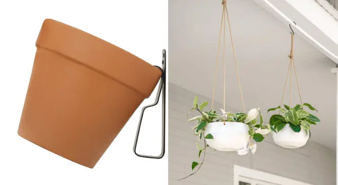 Terracotta and ceramic pots hanging plants