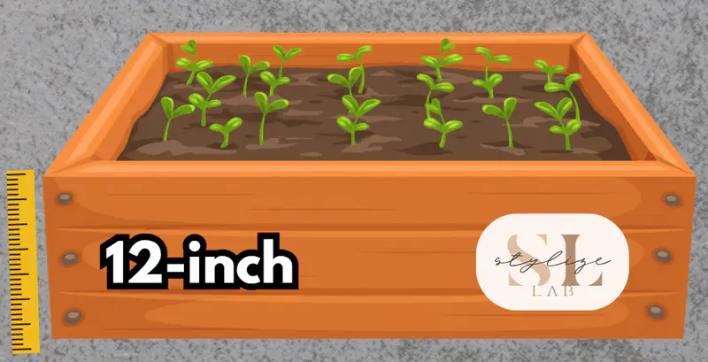 concrete surface 12 in raised beds