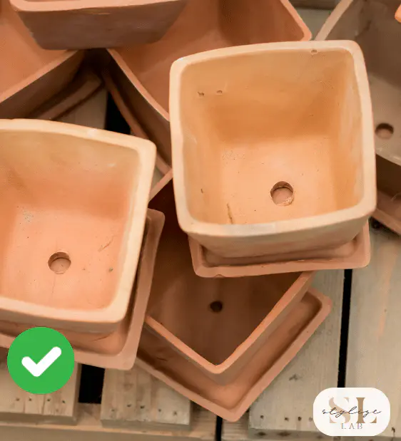 drainage holes pot