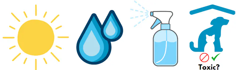 four important factors plant light water humidity toxicty