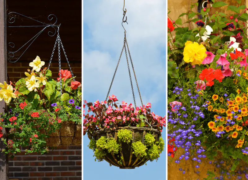 front porch Hanging baskets decorated