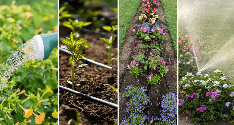 hand, drip irrigation, soaker hoses, sub-irrigation beds garden