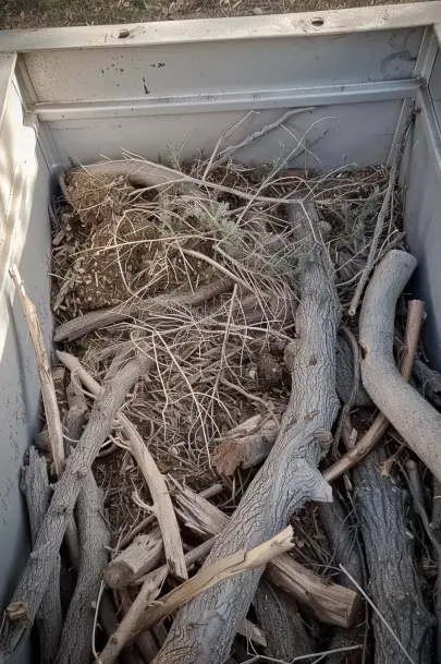 large thick wood chips and branches for raised bed garden