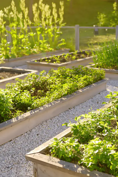 Spacing Between Beds