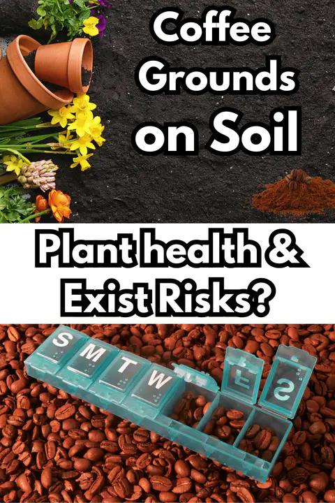 Coffee Potential Risks on soil , benefits, plant health