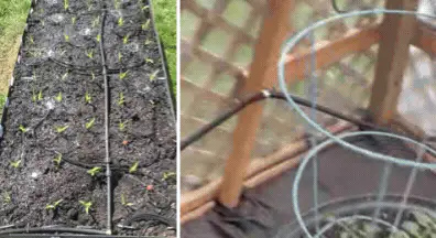 Drip Irrigation Systems