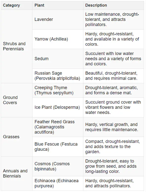 Recommendations for Drought-Resistant and Hardy Plants
