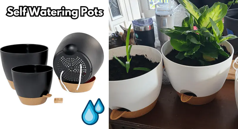 Self-Watering Planters