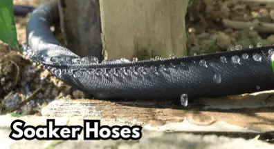 Soaker Hoses working