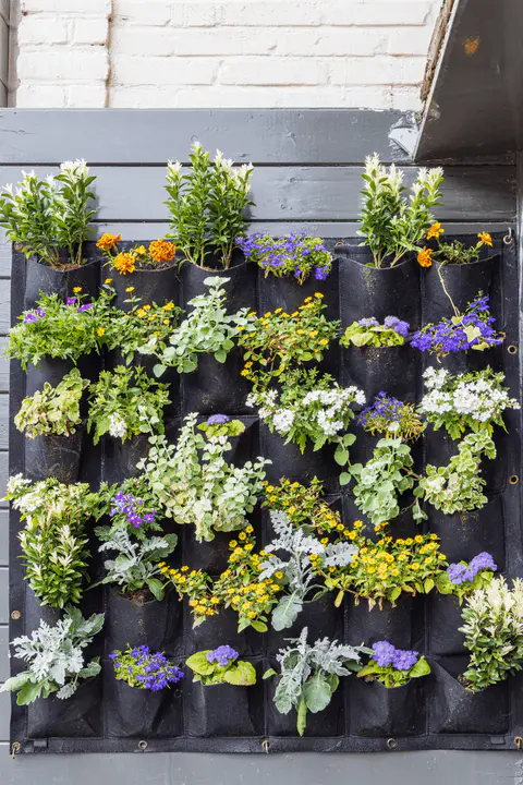 Vertical Gardening