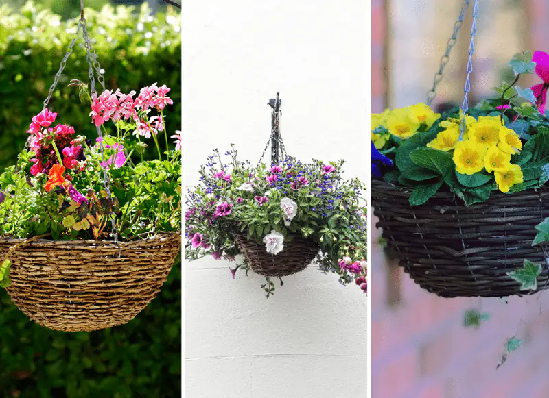 high hanging garden for small spaces