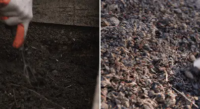 mix compost for tree planting