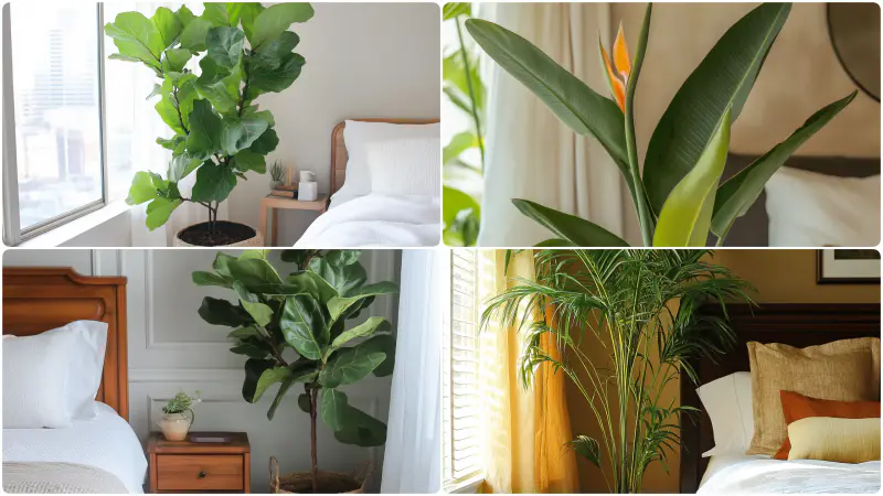 7 Best Bedroom Plants for Oxygen, Air Purification, and Low Light